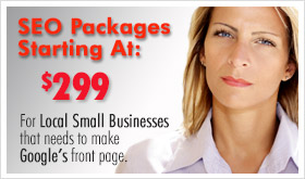 SEO service company special for Lemont IL businesses
